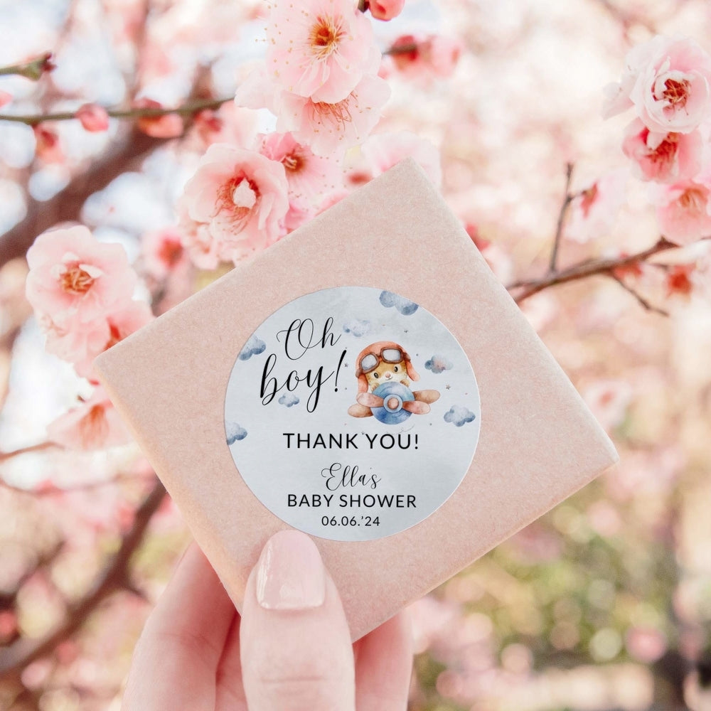 Oh boy! Adventure series Thank you stickers
