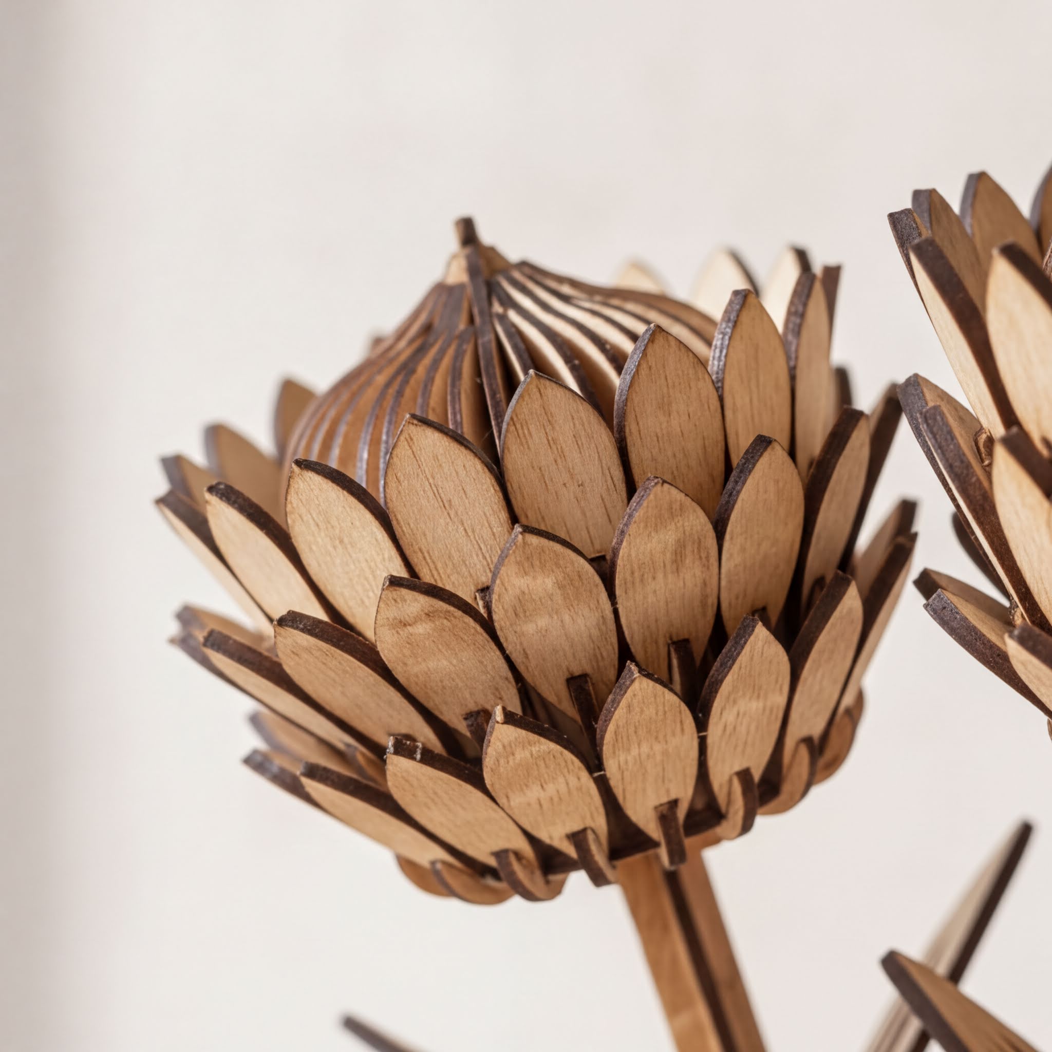 A close-up view of a wooden sculpture resembling a flower or plant, with intricate details and a textured surface.