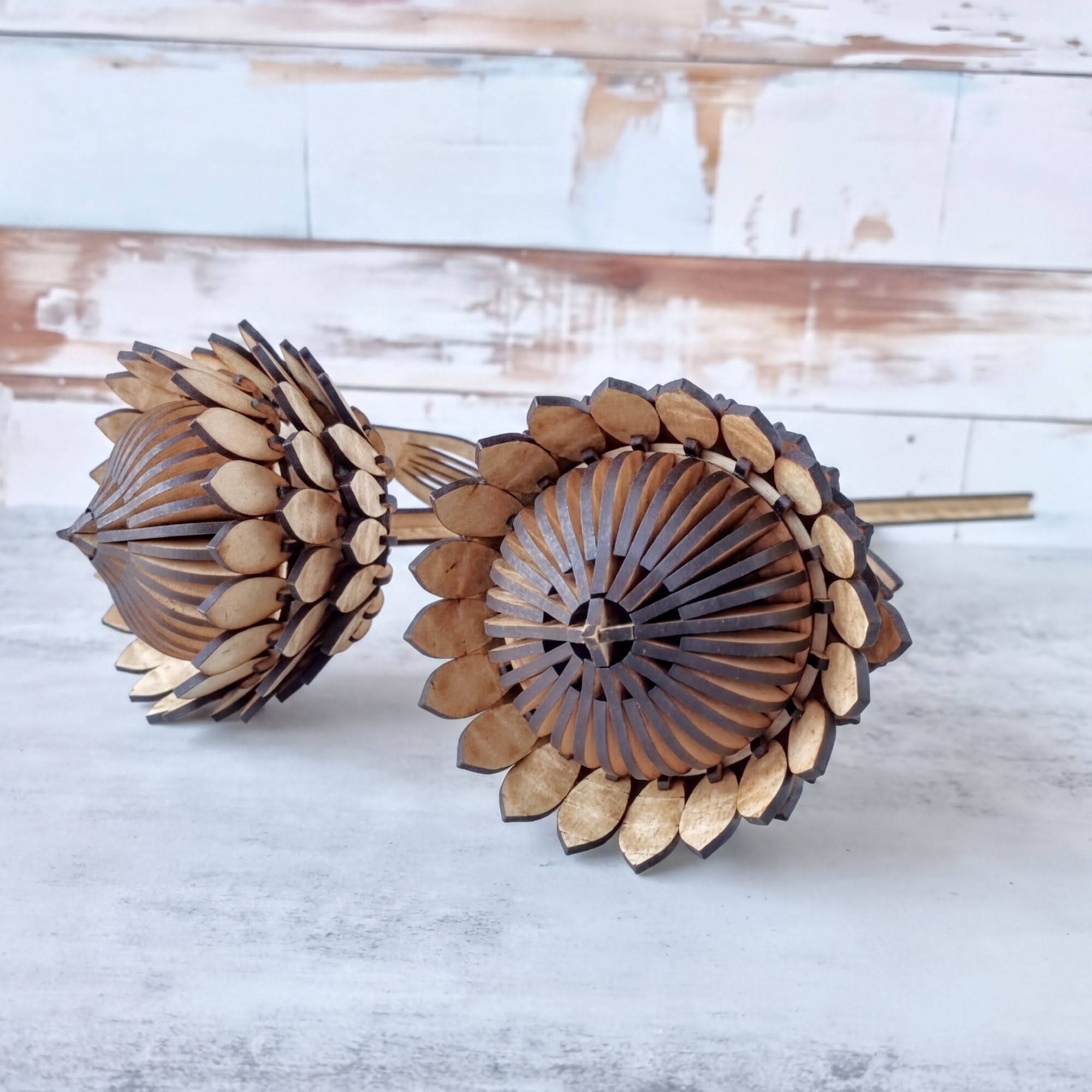 artisanal wooden protea