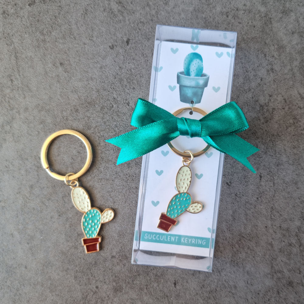 mini cactus succulent accessory keyring favour in a clear giftbox